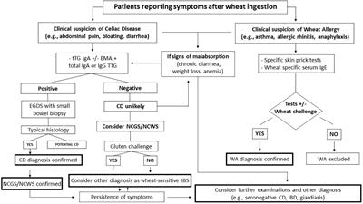 Diagnostic management of patients reporting symptoms after wheat ingestion